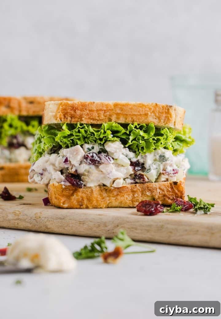 Cranberry Pecan Chicken Salad with Maple-Dijon Vinaigrette 2 Cranberry pecan chicken salad inside a sandwich with lettuce.