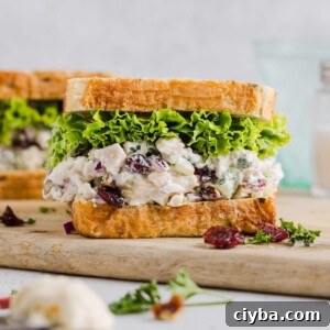 Cranberry pecan chicken salad inside a sandwich with lettuce.