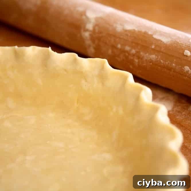 Flaky Pie Crust Made with Egg and Vinegar 2 Pie Crust with Egg and Vinegar