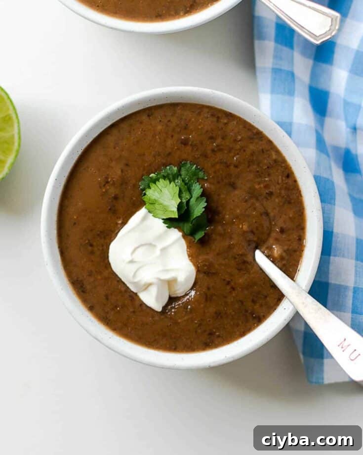 Creamy Black Bean Soup