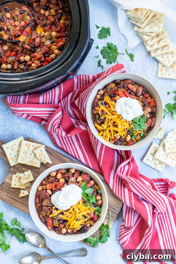 3 Bean Vegetarian Chili