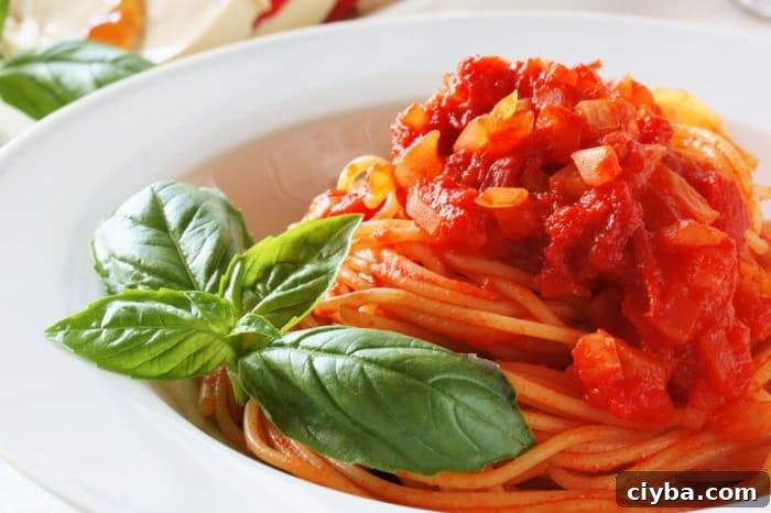 Veggie Spaghetti Sauce