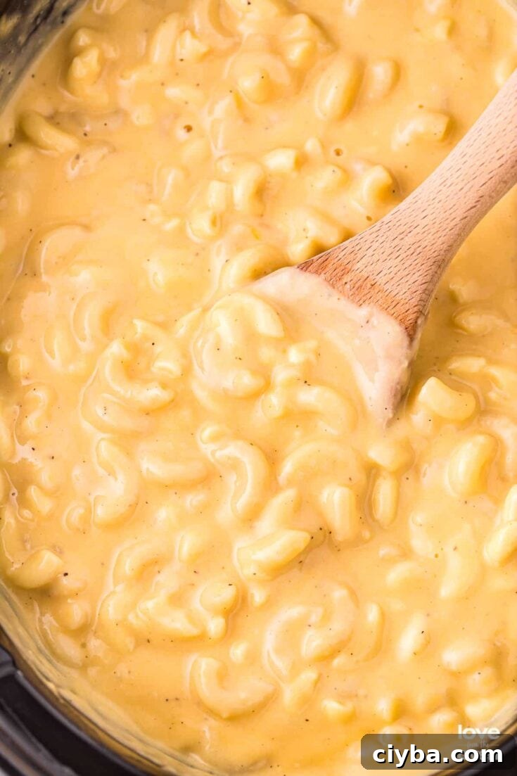 Macaroni and Cheese