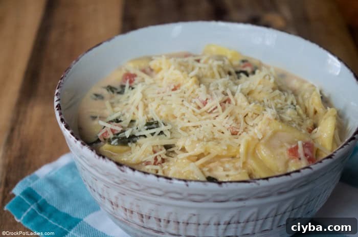 Creamy Tortellini Soup