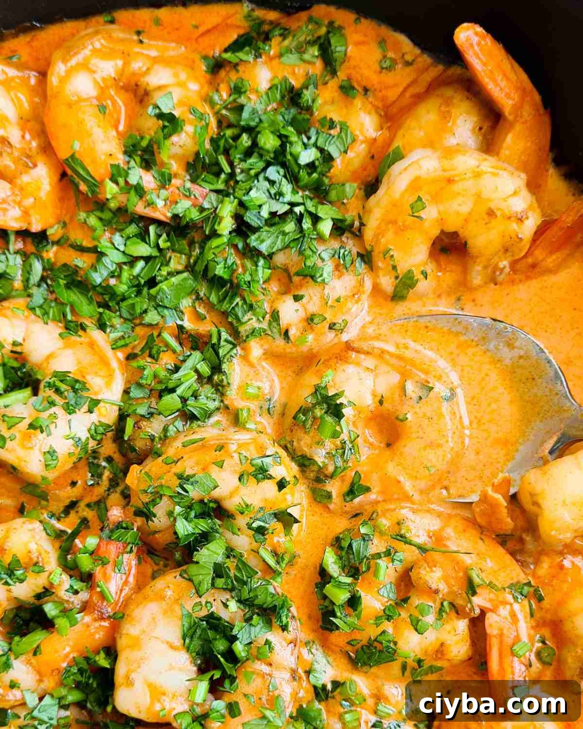 Close up of creamy prawns (shrimp) topped with finely chopped fresh parsley