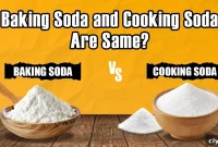 Cooking Soda vs Baking Soda: Are They the Same?