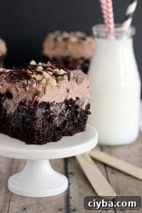 Triple chocolate poke cake