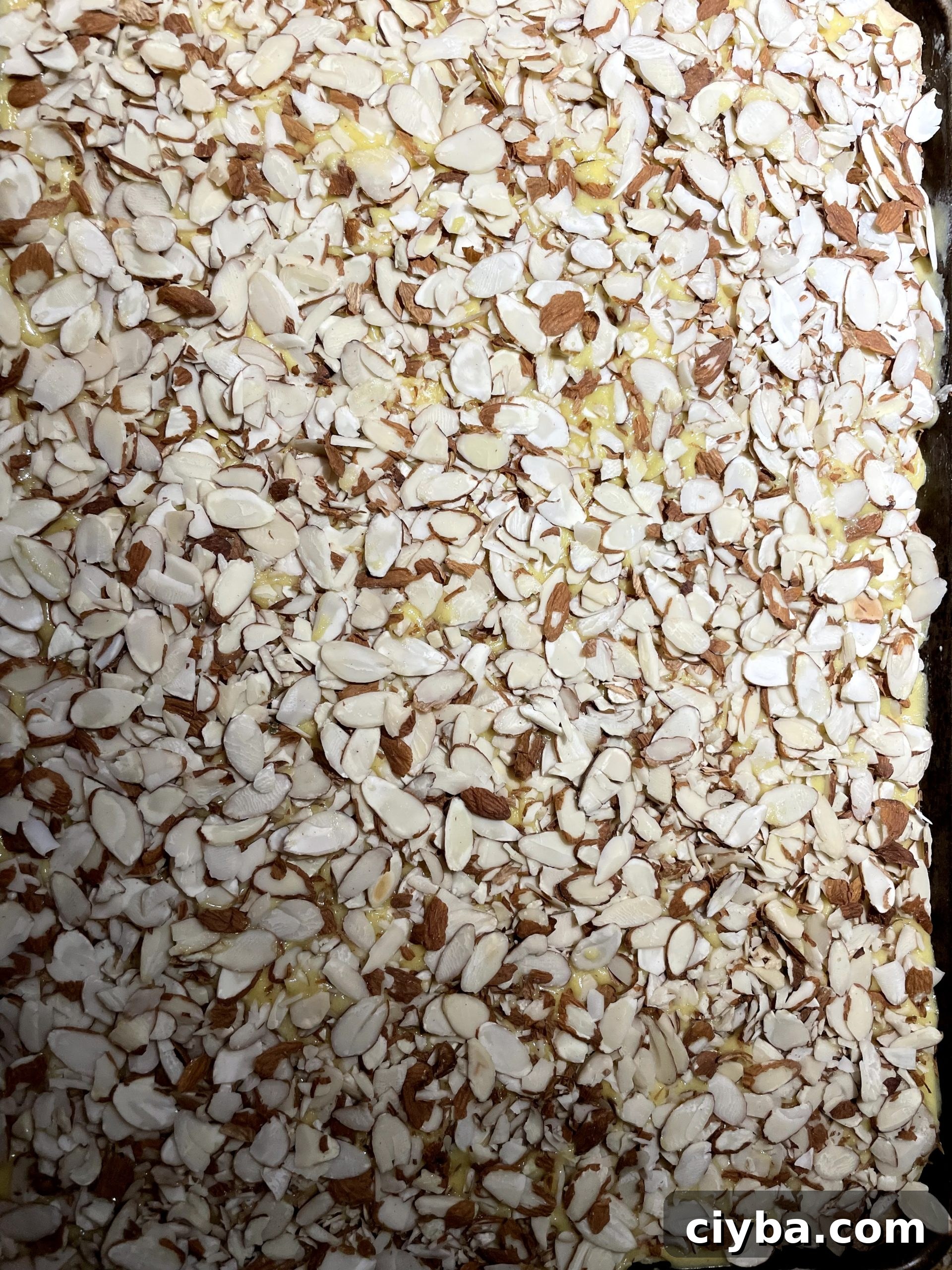 Toasted Almond Frangipane Bars Recipe 6 Add sliced almonds as topping