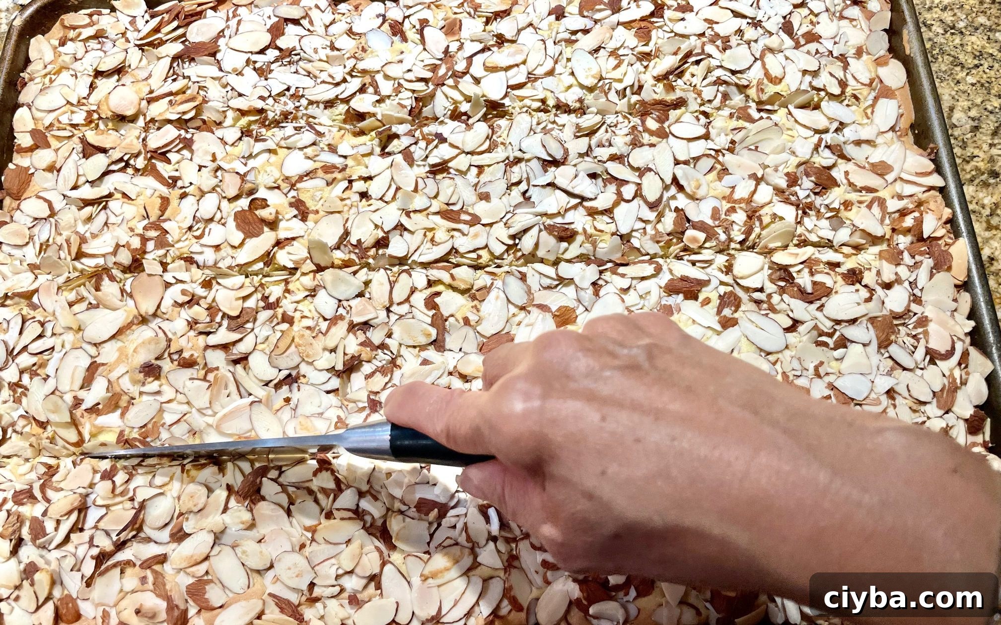 Toasted Almond Frangipane Bars Recipe 7 Cut toasted almond frangipane into bars.