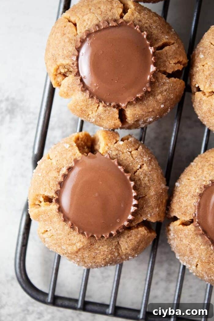 Keto Super Bowl Party Menu: Low-Carb Game Day Recipes 52 overhead view of keto sugar free Reese's peanut butter cup cookies on wire rack to cool