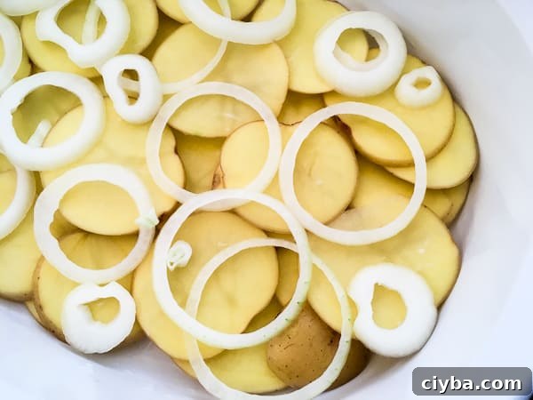 Dairy Free Scalloped Potatoes with Creamy Garlic Sauce 3 Dairy free Gluten Free Scalloped Potatoes