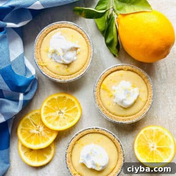 easy lemon pie with condensed milk.