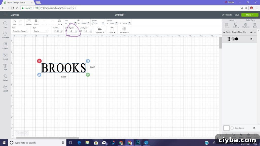 knockout with cricut