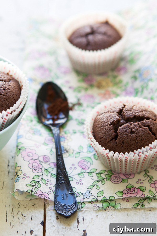 gluten free hazelnut chocolate financier French