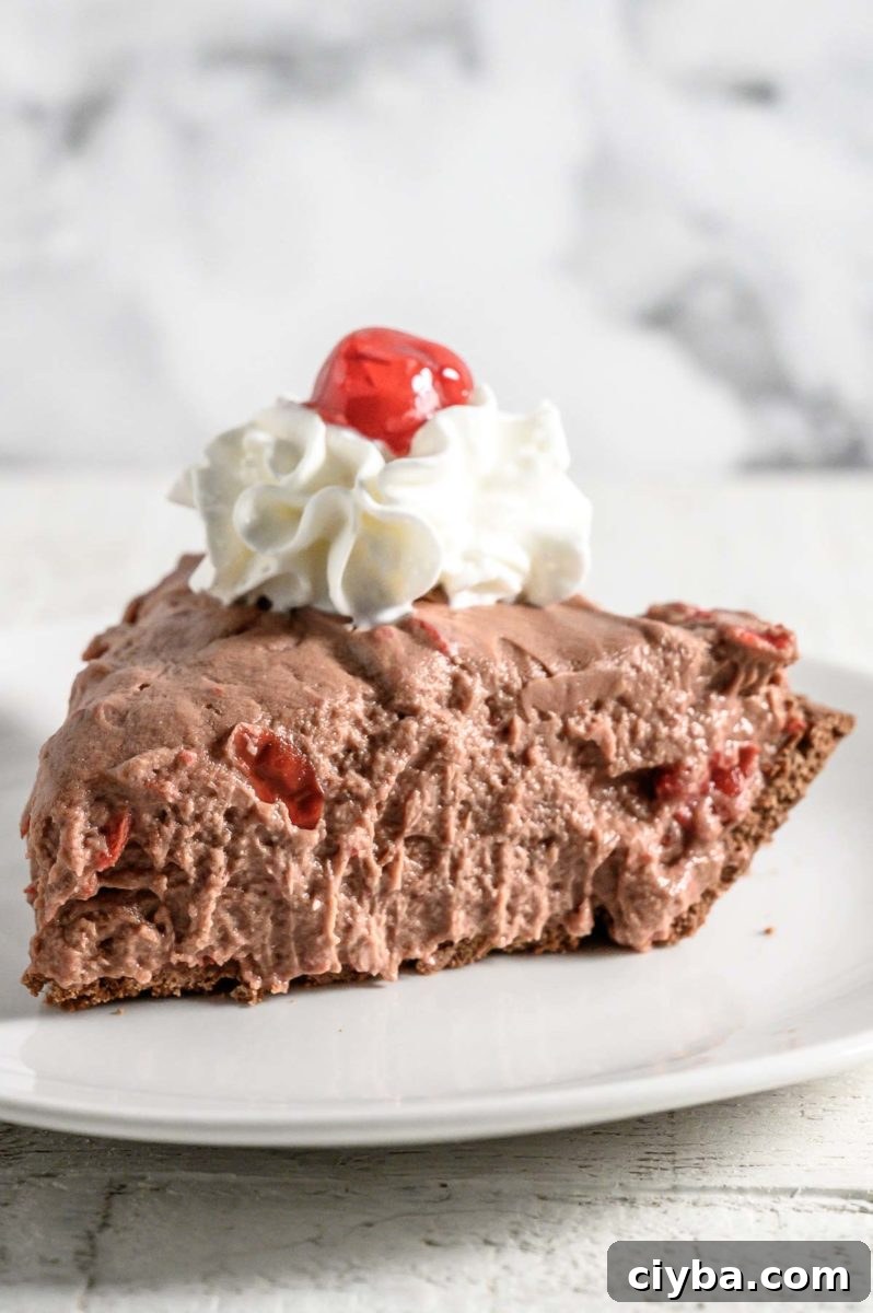 5 Ingredient No Bake Cheesecake slice on a plate.