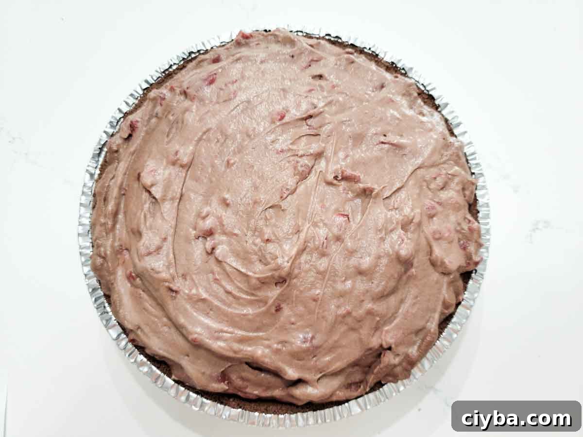 chocolate cherry cheesecake in a pie pan.