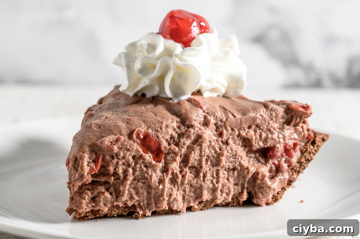 5 Ingredient No Bake Cheesecake slice on a plate.