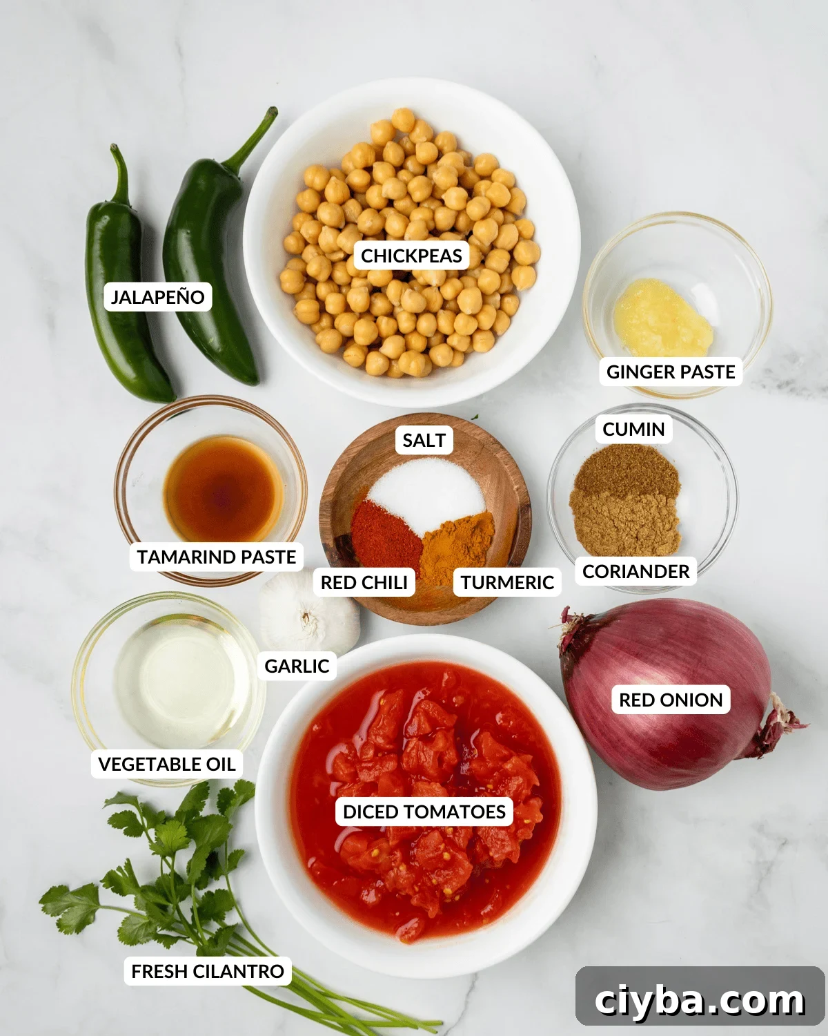An overhead image of the ingredients of chana masala.