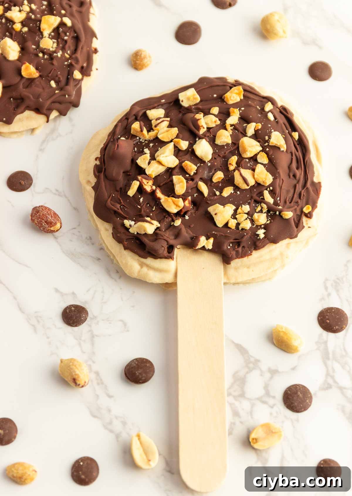 Creamy sweet frozen vanilla peanut butter yogurt with a chocolate coating sprinkled with chopped nuts.