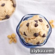 An above view of a bowl of peanut butter frozen yogurt with chocolate chips.