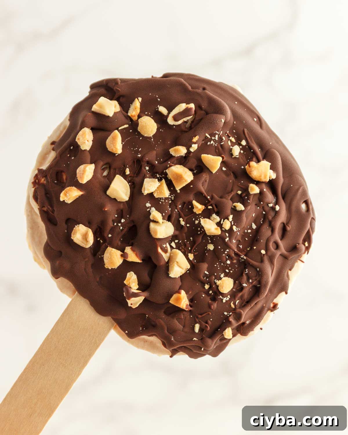 Creamy sweet frozen vanilla peanut butter yogurt with a chocolate coating sprinkled with chopped nuts.