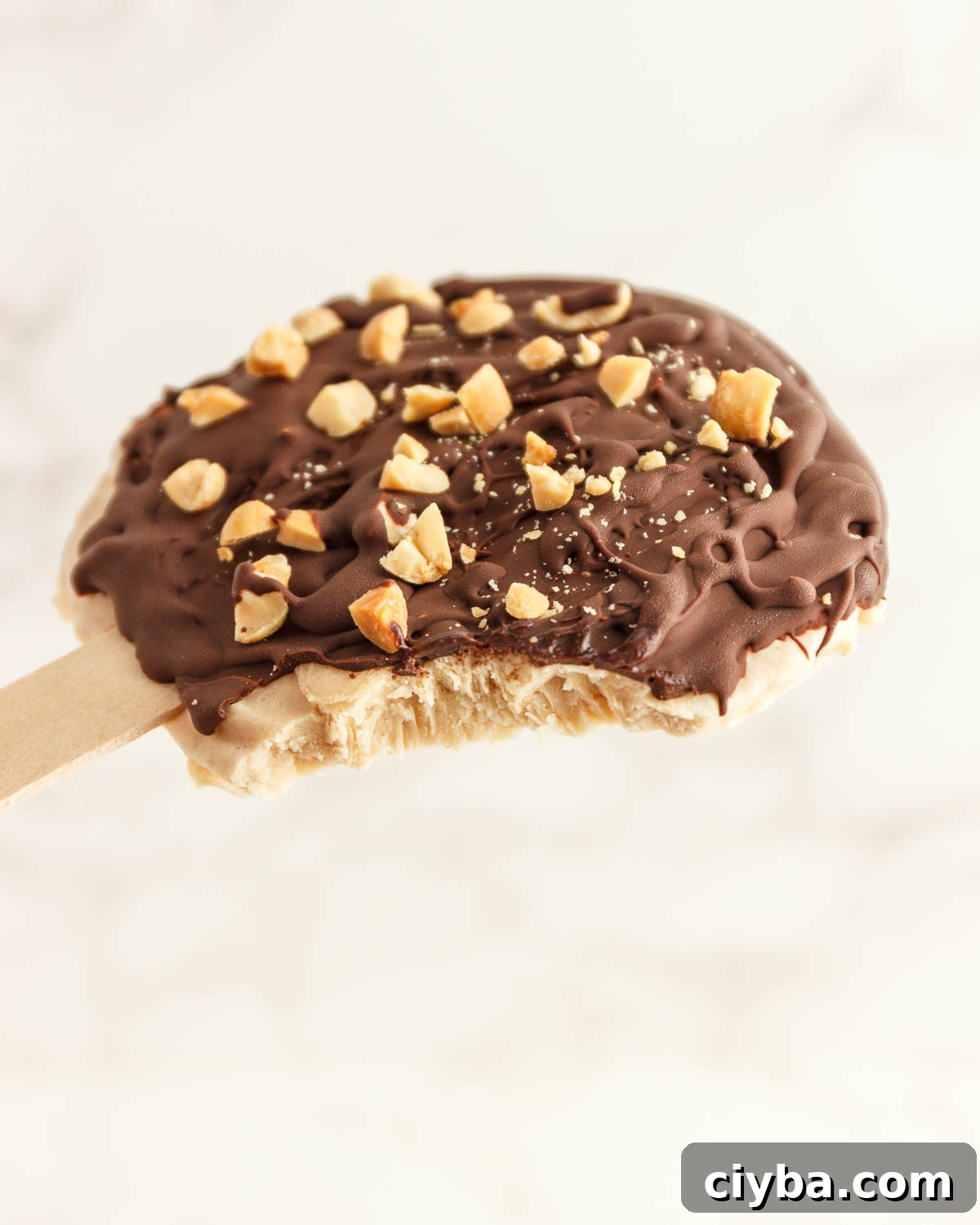 Creamy sweet frozen vanilla peanut butter yogurt with a chocolate coating sprinkled with chopped nuts.