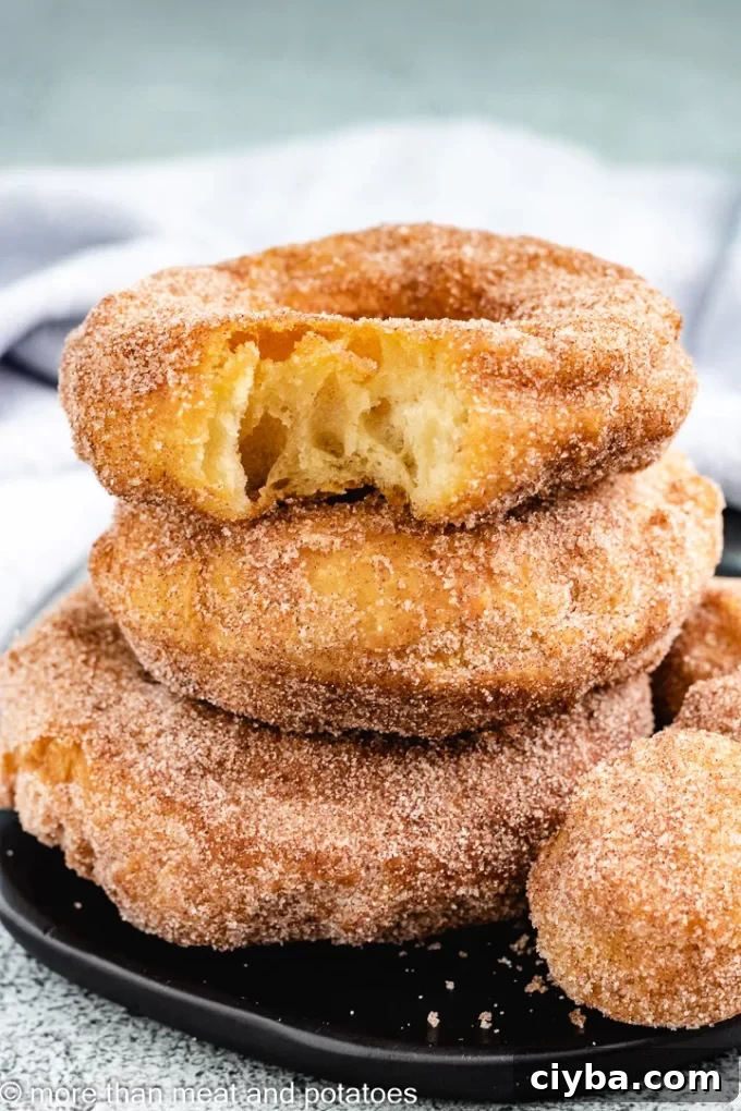 A stack of sourdough donuts with a bite taken out of the one on top.