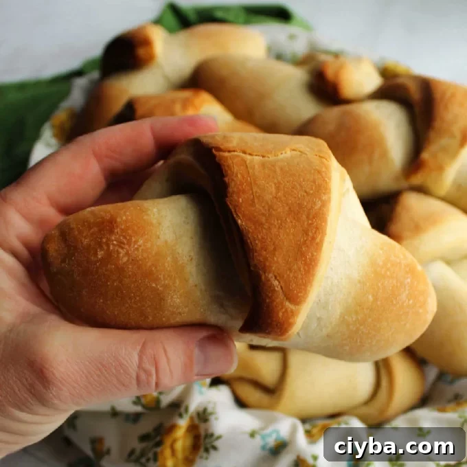A hand holding a sourdough discard crescent roll.