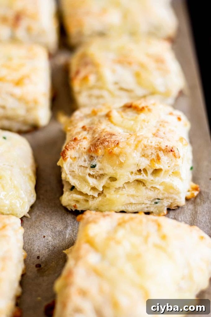 Cheese scones on a baking sheet with parchment.