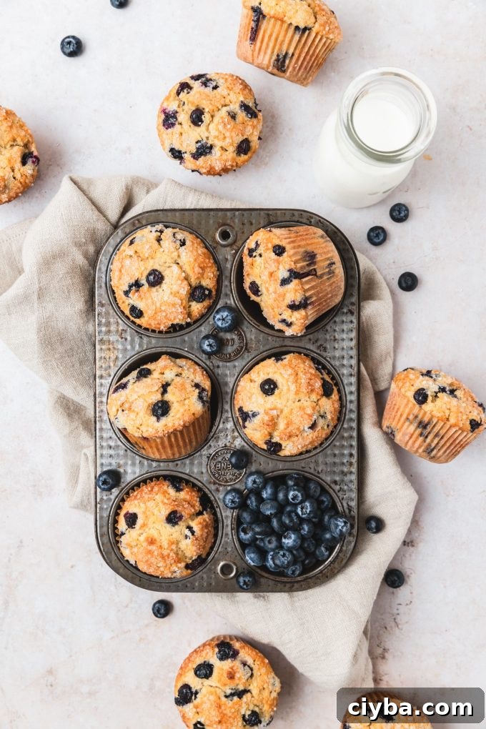 Aerial photo of sourdough blueberry muffins in a muffin tin.