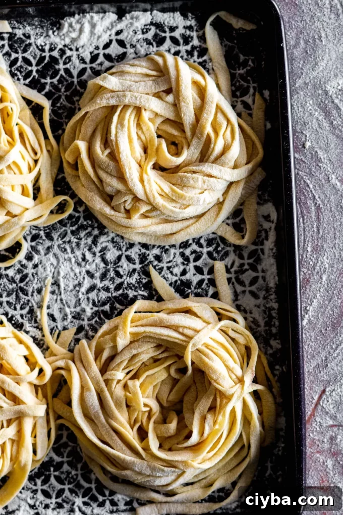 A swirl of pasta made with sourdough starter. 