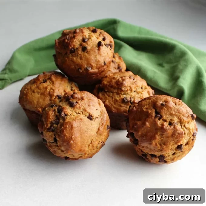 Oatmeal chocolate chip sourdough muffins in a surface with a green kitchen towel in the background.