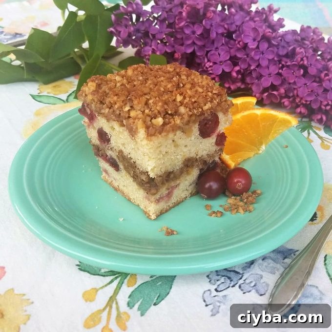 A slice of cranberry sourdough coffee cake sitting on an aqua colored plate.