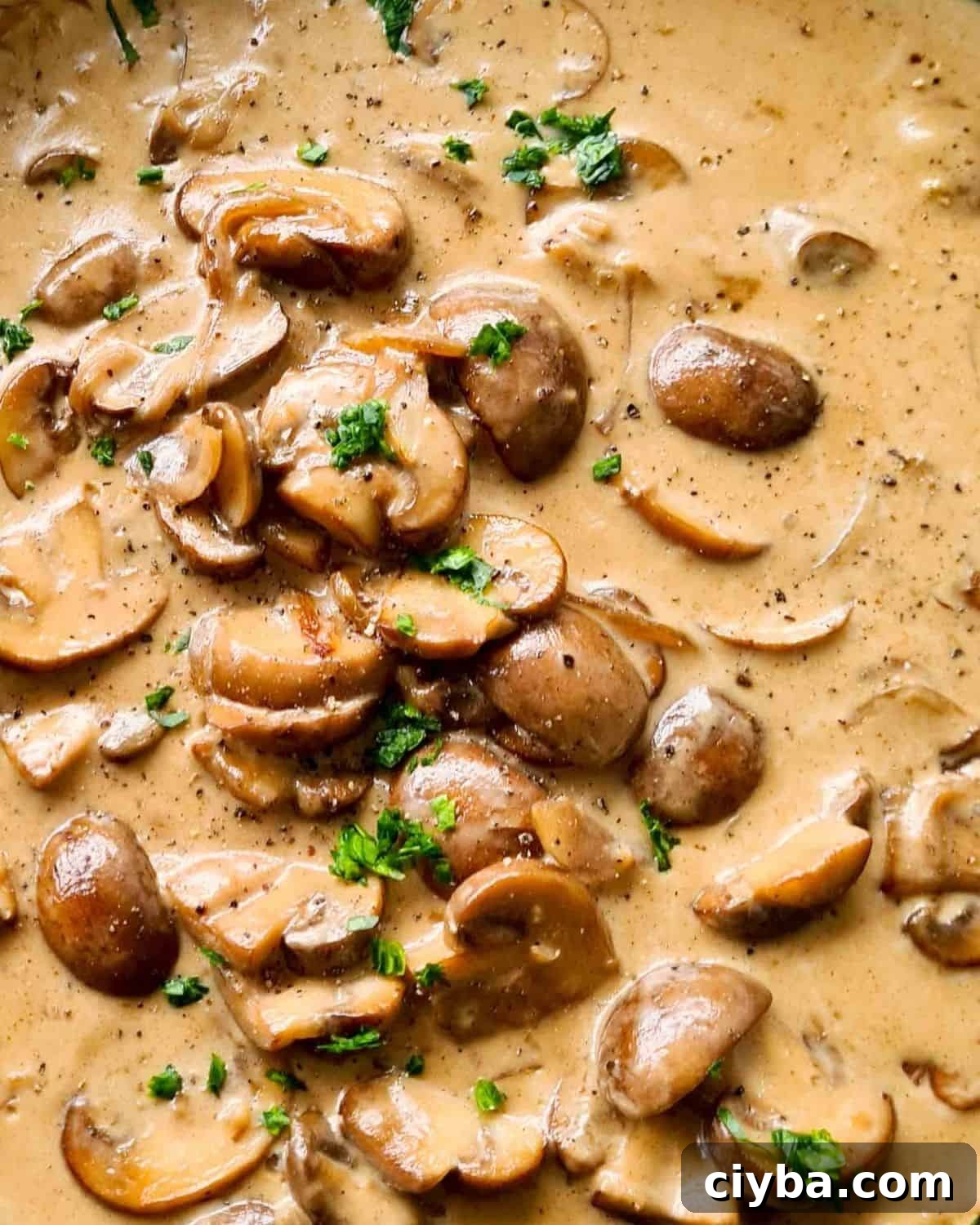 Close up of caramelised mushrooms in creamy sauce sprinkled with fresh finely chopped parsley 