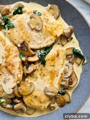 Close up of a full plate of chicken with creamy mushrooms