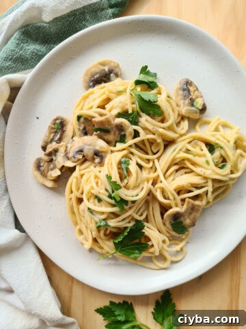 Plate of creamy mushroom pasta
