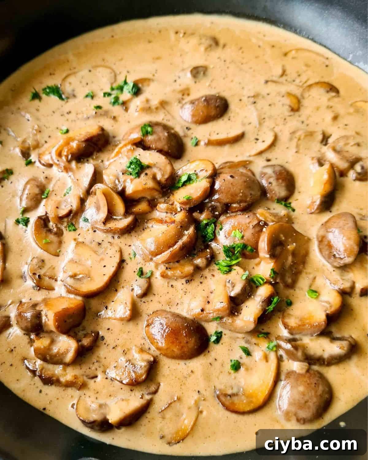 Close up of mushroom in creamy sauce in a black pan
