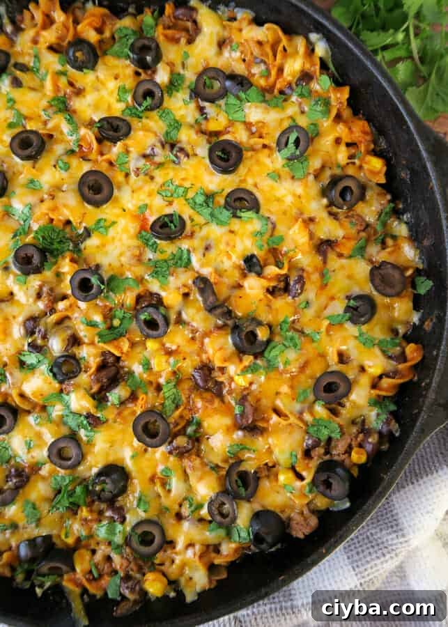 One-Pot 30-Minute Beef Enchilada Pasta 2 Beef Enchilada Pasta {Easy, One Pot, 30-Minute Meal} made with ground beef and egg noodles