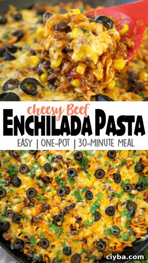 One-Pot 30-Minute Beef Enchilada Pasta 8 Beef Enchilada Pasta {Easy, One Pot, 30-Minute Meal}