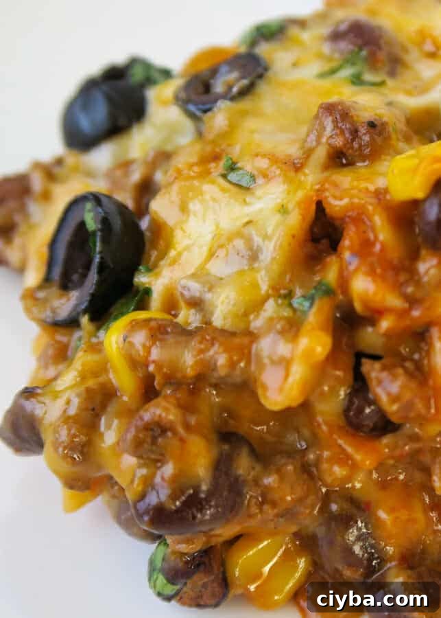 One-Pot 30-Minute Beef Enchilada Pasta 3 Beef Enchilada Pasta {Easy, One Pot, 30-Minute Meal} made with ground beef and egg noodles