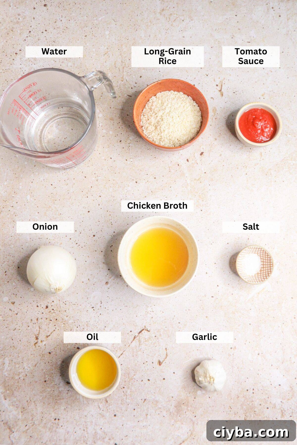 Ingredients for Arroz Rojo: water, rice, tomato sauce, onion, chicken broth, salt, oil, garlic