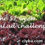 52 week salad challenge