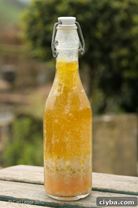 Vinaigrette salad dressing, before being shaken to emulsify the ingredients Vinaigrette salad dressing, before being shaken to emulsify the ingredients