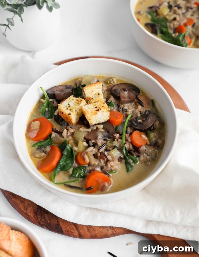 A white bowl filled with a hearty vegetable and rice soup. There are three toasted croutons on top of the soup.