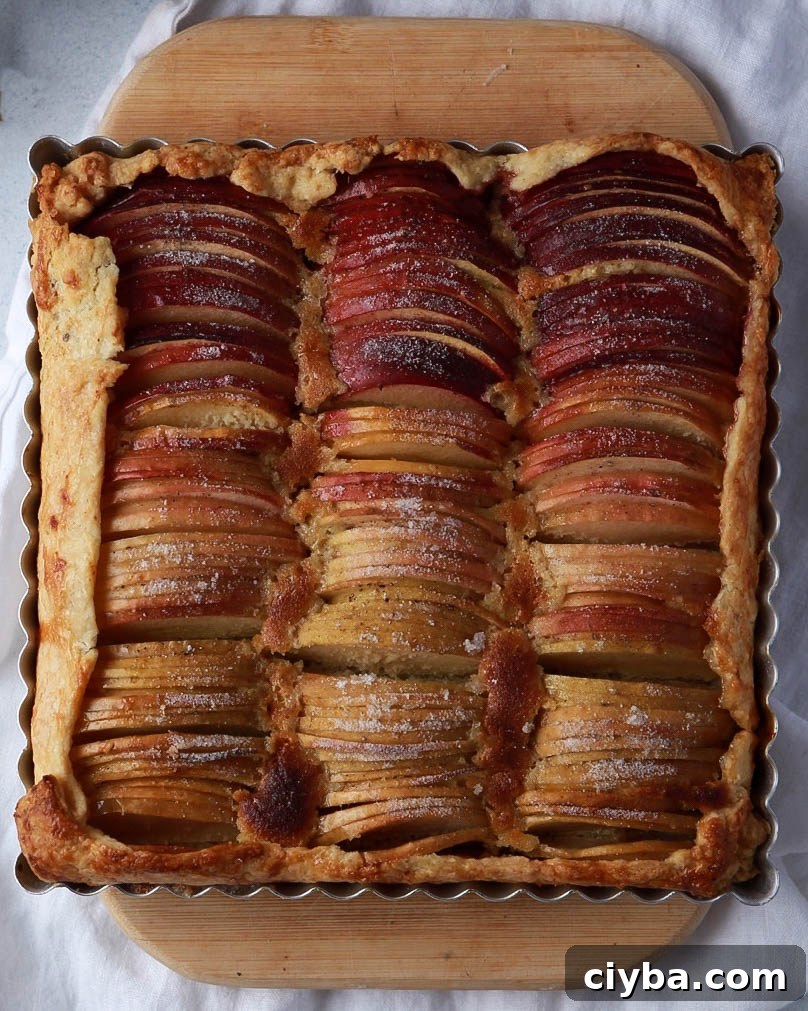 Rustic Apple Ombre Tart with Honey Frangipane