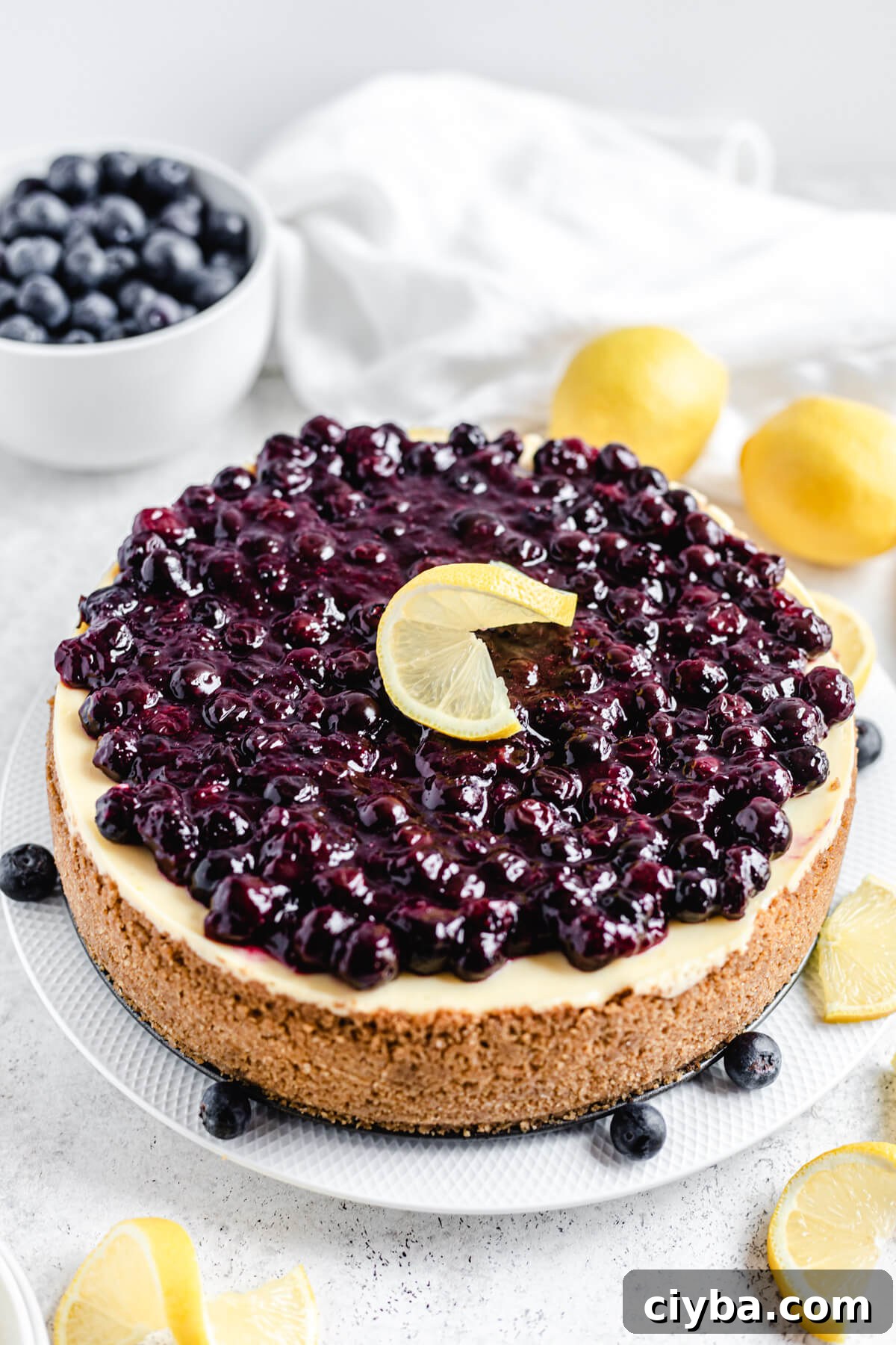 cheesecake on a large white plate with lemons and blueberries around and on top of it