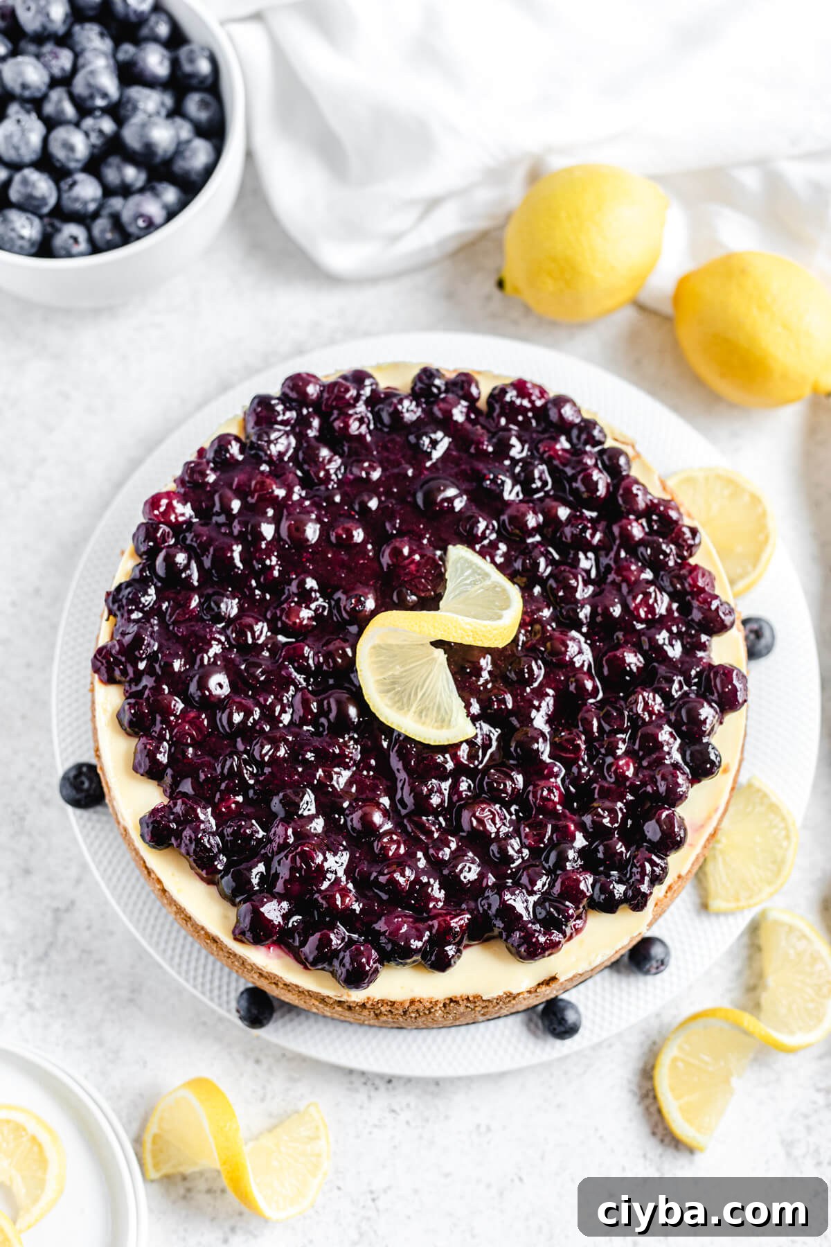 top view of cheesecake topped with blueberries and lemons