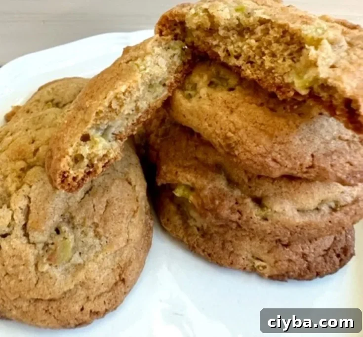 SQUARE RHUBARB COOKIE FEATURE IMAGE