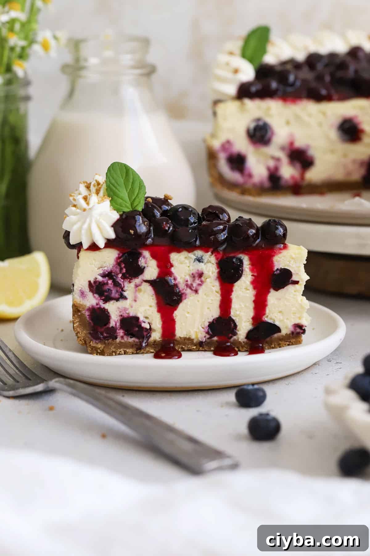 slices of gluten-free blueberry cheesecake with whipped cream and fresh blueberry topping