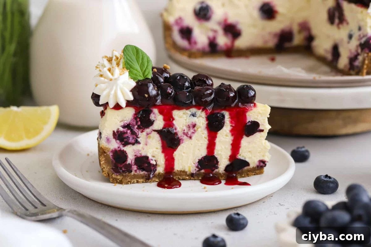 slices of gluten-free blueberry cheesecake with whipped cream and fresh blueberry topping